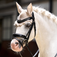 Vliegennetje Imperial Riding Rebel Grijs / zand