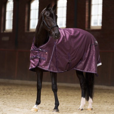 Paddockdeken Imperial Riding Super-dry 100gr Vijg Violet Paddockdeken Imperial Riding Super-dry 100gr Vijg Violet