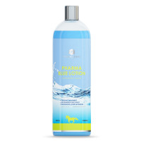 Pharma Blue Lotion 1000ml Pharma Blue Lotion 1000ml