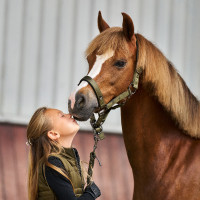 Halster Imperial Riding Rebel Olijfgroen