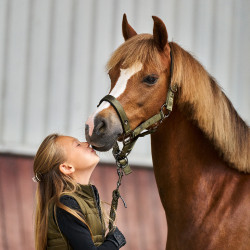 Halster Imperial Riding Rebel Olijfgroen