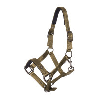 Halster Imperial Riding Rebel Ballerina Violet