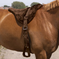 Norton Comfort barebackpad Bruin