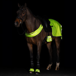 Teendekken voor stijgbeugels Imperial Riding Reflective per 2 Geel