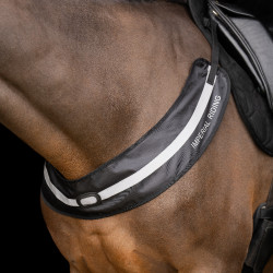 Borstriem Imperial Riding Luminous Zwart Borstriem Imperial Riding Luminous Zwart