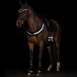 Borstriem Imperial Riding Luminous Zwart Borstriem Imperial Riding Luminous Zwart