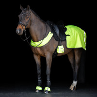 Reflecterende borsttuig Imperial Riding Geel Reflecterende borsttuig Imperial Riding Geel