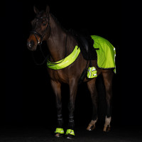 Reflecterende borsttuig Imperial Riding Geel Reflecterende borsttuig Imperial Riding Geel