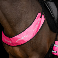 Reflecterende borsttuig Imperial Riding Roze