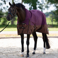 Buitendeken Imperial Riding Customized High Neck 200 g Bordeaux / lichtbruin Buitendeken Imperial Riding Customized High Neck 200 g Bordeaux / lichtbruin