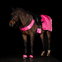 Imperial Riding reflecterende zadeldeken voor de achterhand Neonroze Imperial Riding reflecterende zadeldeken voor de achterhand Neonroze