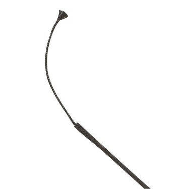 Aanspan- en trainingszweep WHIP & GO