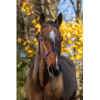 Ethologisch halster touw Fin Zwart Ethologisch halster touw Fin Zwart