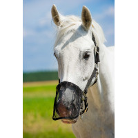 Neusbeschermer anti-vlieg gaas