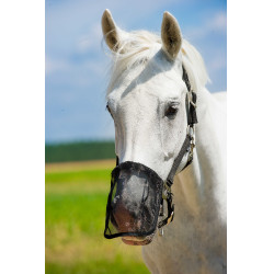 Neusbeschermer anti-vlieg gaas
