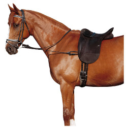 Elastische verstelbare hulpteugel Elastische verstelbare hulpteugel