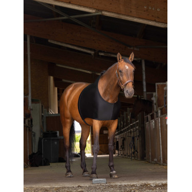 Schouderbescherming Equithème Schouderbescherming Equithème