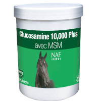 Glucosamine 10.000 + MSM NAF