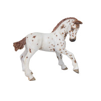 Appaloosa Veulen Beeldje Papo Appaloosa Veulen Beeldje Papo