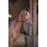 Duitse teugels leer / touw Norton Pro Havana Bruin Duitse teugels leer / touw Norton Pro Havana Bruin