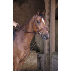 Duitse teugels leer / touw Norton Pro Duitse teugels leer / touw Norton Pro