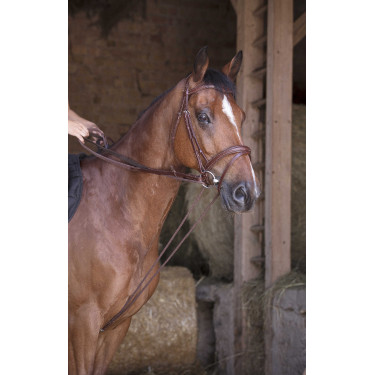 Duitse teugels leer / touw Norton Pro Duitse teugels leer / touw Norton Pro