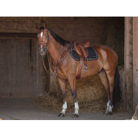 Gecombineerde singel Eric Thomas Hybrid Havana Bruin