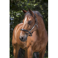 Lederen halster Norton Pro Grooming Zwart Lederen halster Norton Pro Grooming Zwart