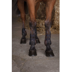 Gamaschen Norton XTR Bruin