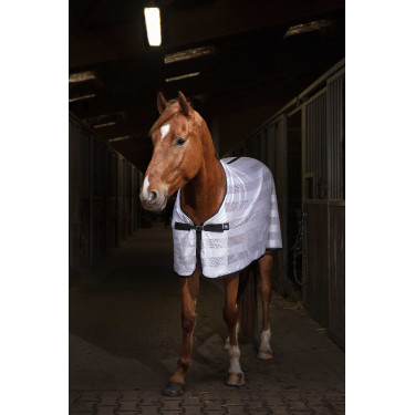 Overhemd Riding World Mesh Overhemd Riding World Mesh