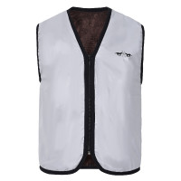 HV Polo Hi-Viz reflecterend mouwloos rijvest Zilver / reflecterend HV Polo Hi-Viz reflecterend mouwloos rijvest Zilver / reflecterend