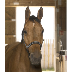 Norton Reflective halster Zwart