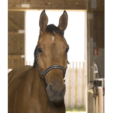 Norton Reflective halster Zwart