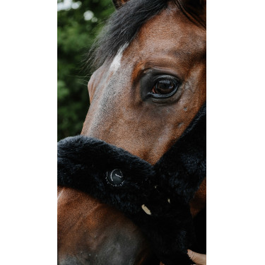 Halster Je t'aime Equithème Snuggy Zwart Halster Je t'aime Equithème Snuggy Zwart