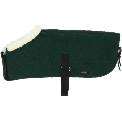 Mini-dekens Pony Academy Donkergroen