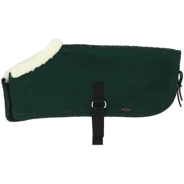 Mini-dekens Pony Academy Donkergroen