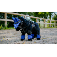 Mini-peesbeschermers en kogelbeschermers Pony Academy Koningsblauw