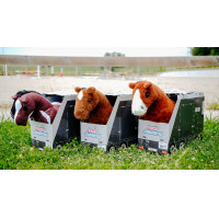 Mini-pony Poly Pony Academy Tweekleurig Mini-pony Poly Pony Academy Tweekleurig