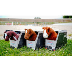 Mini-pony Poly Pony Academy Tweekleurig