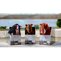 Mini-pony Poly Pony Academy Tweekleurig Mini-pony Poly Pony Academy Tweekleurig