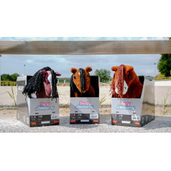 Mini-pony Poly Pony Academy Tweekleurig