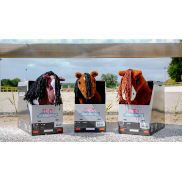 Mini-pony Prince Pony Academy Bruin