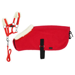 Set Mini halster + deken Pony Academy Rood