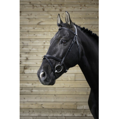Bridon Norton Pro Fin Zwart