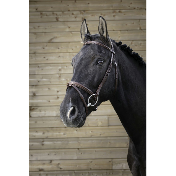 Bridon Norton Pro Fin Bridon Norton Pro Fin