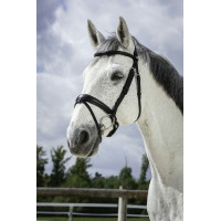Bridon Norton Pro Soft Zwart
