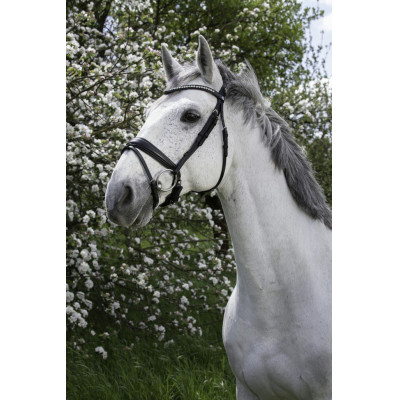 Bridon Norton Pro Strass Zwart