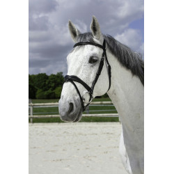 Bridon Norton Pro Golvend Bridon Norton Pro Golvend