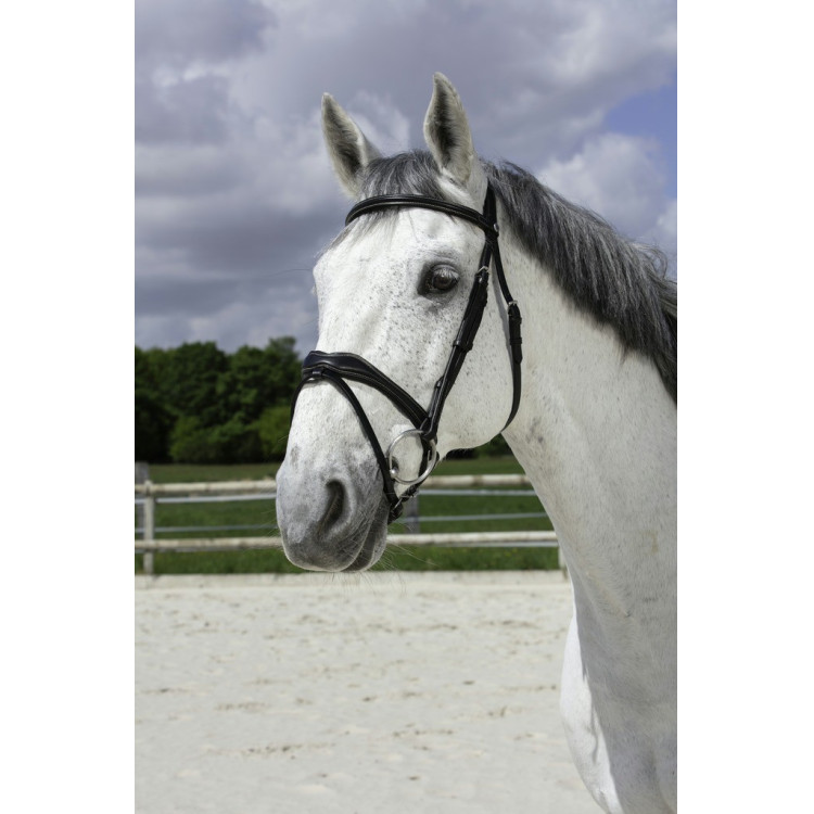 Bridon Norton Pro Golvend Bridon Norton Pro Golvend