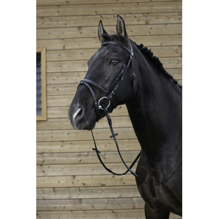 Bridon Riding World gecombineerde neusriem Bridon Riding World gecombineerde neusriem